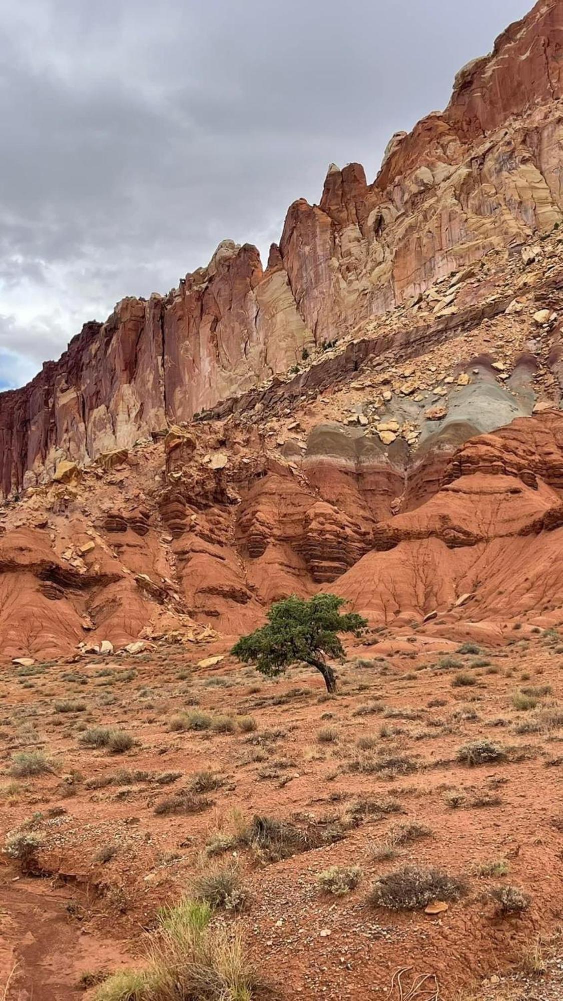 Bryce'S Zion House By Bryce Canyon National Park! 潘圭奇 外观 照片